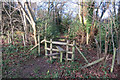 Stile into the woods