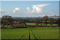 Farmland at Chirnside