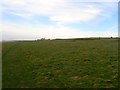 TQ3602 : Former Pitch and Putt Golf Course, Rottingdean by Simon Carey