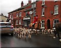 South Herefordshire Hunt in St Owen