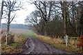 Quarryhead Wood forms a shelter belt at Nisbetmill