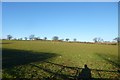 Fields off Hollybank Lane