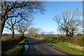 Along Brimham Rocks Road