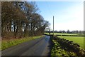 Along Brimham Rocks Road