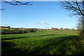 Farmland near Brimham Hall Farm