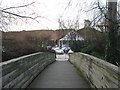 Footbridge over the River Biss