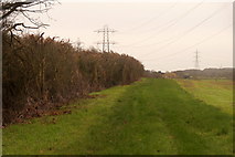 TQ1863 : Pylons crossing fields near Chessington by Mike Pennington
