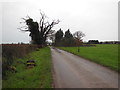 Road from Wick Farm