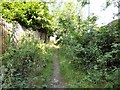 Footpath to Well Meadow