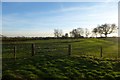 Farmland off Moor Road