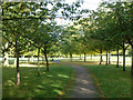 Shaded path, Woodcock Park