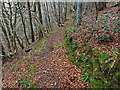 Footpath above the Muckle Burn