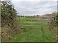 A little-used gate, Knapp