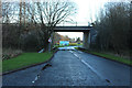 Road into Eglinton Country Park