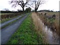 Road to Smithmoor Common