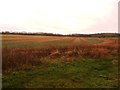 The River Torne below Malpass Hill