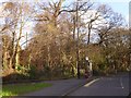 Bus stop and shelter, A4162, south of Coombe Dingle