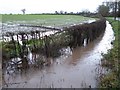 SO8742 : Flooded ditch by Philip Halling