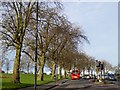 Trees and open space by Gloucester Road, Horfield