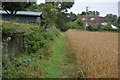 Footpath at the edge of Burmarsh