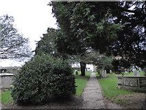 TQ2122 : St Peter's Church, Cowfold: churchyard (6) by Basher Eyre
