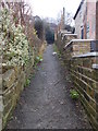 Footpath - Lower Hall Road