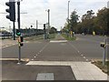 SK5438 : Toucan crossing beside University Boulevard by David Lally