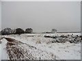 NZ1153 : Snow covered fields near High Bradley farm by Robert Graham