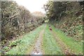 V8837 : Access track - Cashelfean Townland by Mac McCarron