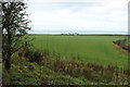 Farmland at Kinniegar