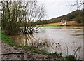 High water level on the River Severn and a muddy footpath, near Bewdley, Worcs