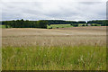 Slightly rolling fields near Ditchley Park