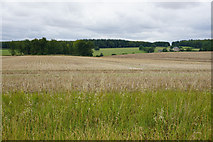 SP3920 : Slightly rolling fields near Ditchley Park by Bill Boaden
