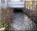 Nailsworth Stream emerges from under an Inchbrook Trading Estate building, Inchbrook 