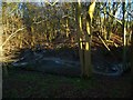 Stonefarm Gill and tributary