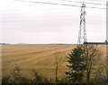 Pylon