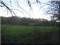 Field by Watling Street, Radlett