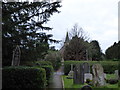 SS Peter & Paul, Lingfield: churchyard (vii)