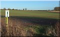 Farmland, Throstle Nest Farm