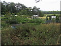 Allotments by Fiveways