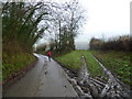 Lane below Bury Ditches