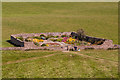 NU1341 : Walled garden, Lindisfarne Castle by Ian Capper