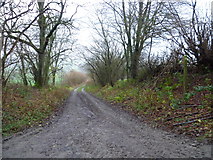 SO3385 : Bridleway near Brockton, Shropshire by Jeremy Bolwell