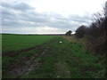 Farm track off Sands Lane, Barmston