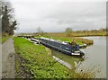 ST9861 : Rowde, narrowboat by Mike Faherty