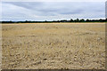 SP3918 : Harvested field near Callow Farm by Bill Boaden