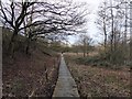 SJ7453 : Duckboarded footpath near Crewe by Jonathan Hutchins