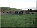 Abandoned sheds