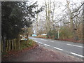 Mill Way at the entrance to Nower Wood