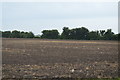 Flat farmland, Romney Marshes